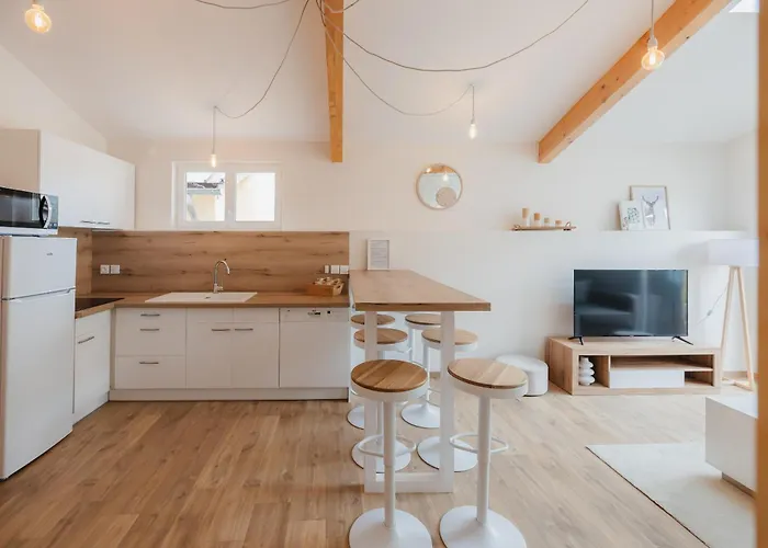 Chaleureux Appartement 8 Couchages #4